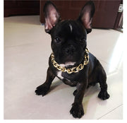 Pet Chain Collar