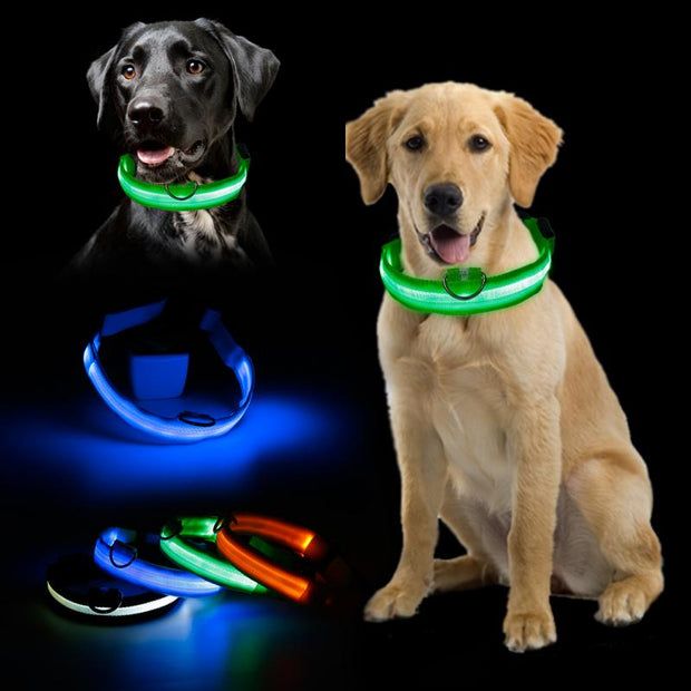 Pet LED Light Up Collar