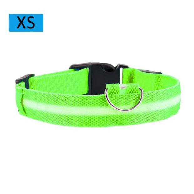 Pet LED Light Up Collar