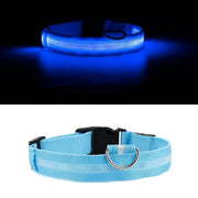 Pet LED Light Up Collar